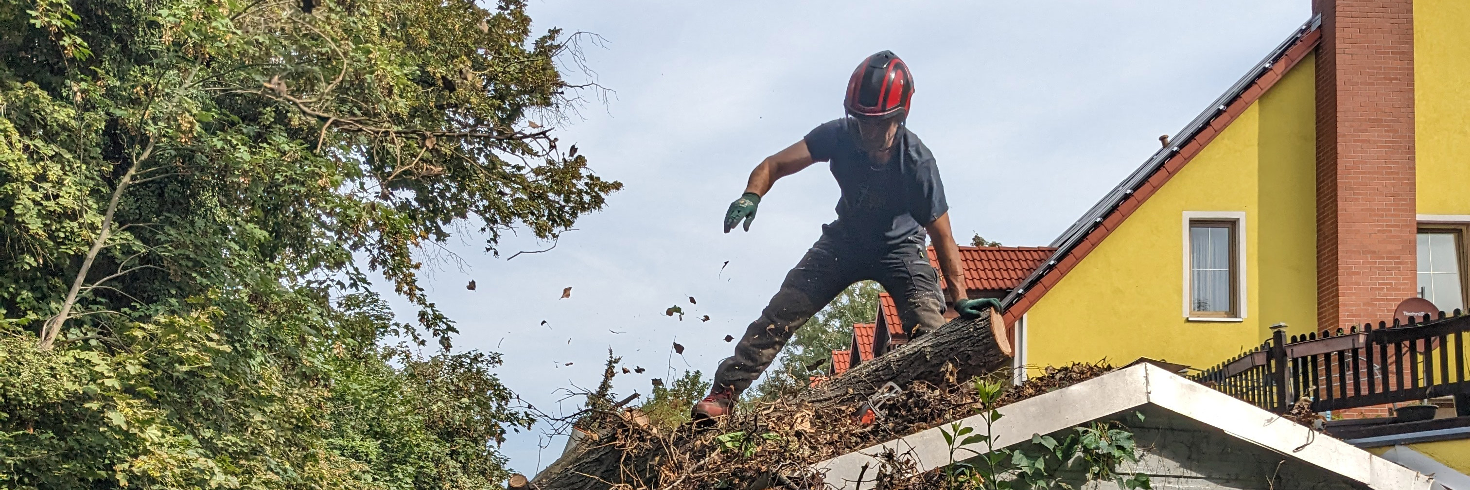 Sturmschöden_Baum_Leipzig_Stadt Sandro Vierke beseitigt Sturmschäden in Leipzig