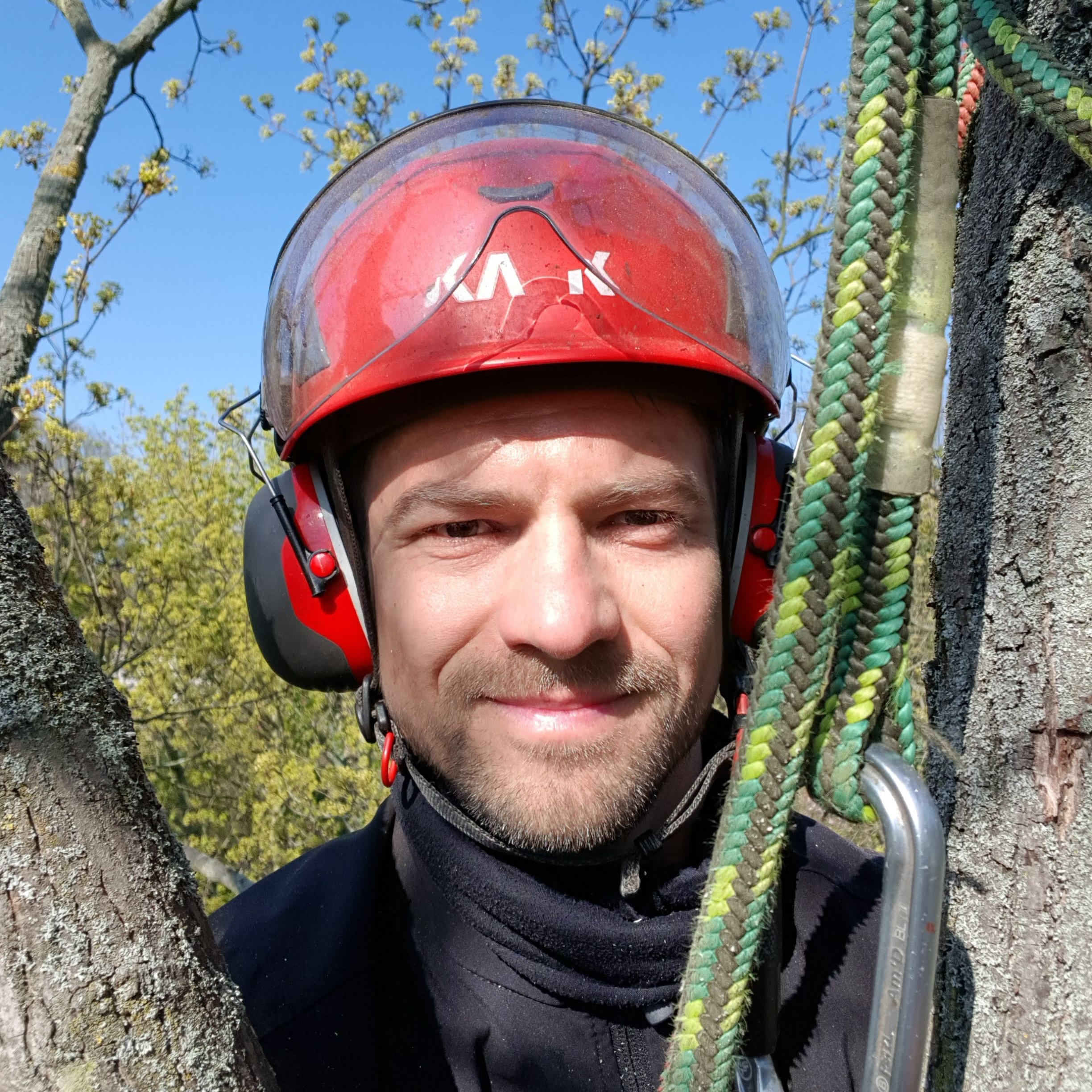 Sandro Vierke während Baumpflege in Leipzig mittels Seilklettertechnik