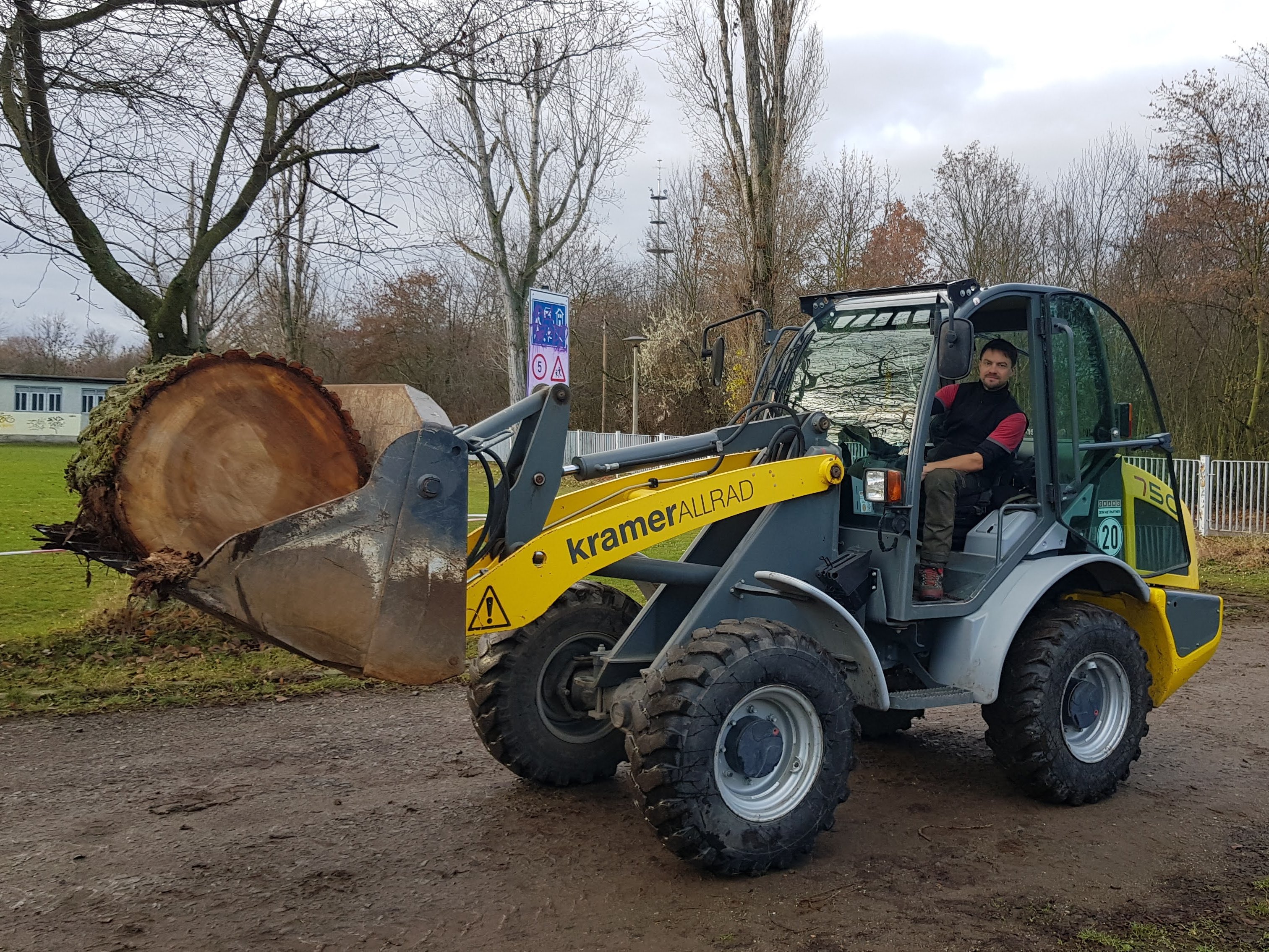 Baumfällung_Abtransport Baumfällung in Leipzig und Abtransport